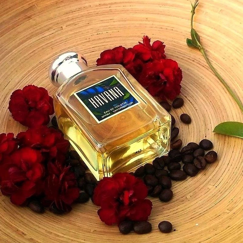 عطر ادکلن آرامیس هاوانا۱۰۰میل